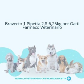 BRAVECTO*1PIP 2,8-6,25KG GATTI