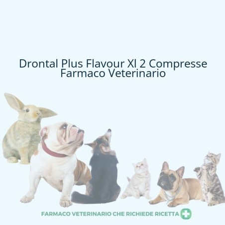 DRONTAL PLUS FLAVOUR XL*2CPR