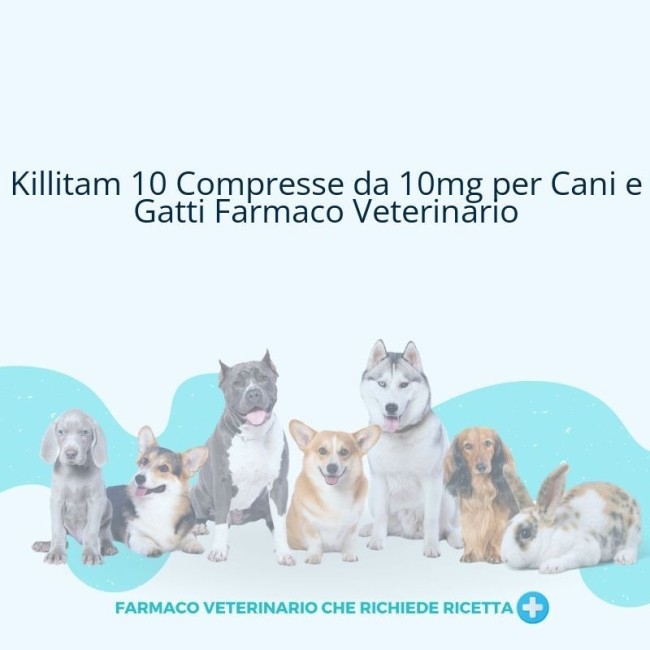 KILLITAM*10CPR 10MG GATTI CANI