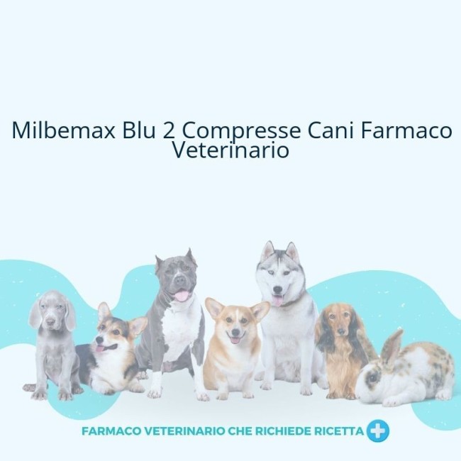 MILBEMAX*BLU 2CPR CANI