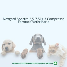 NEXGARD SPECTRA*3,5-7,5KG 3CPR