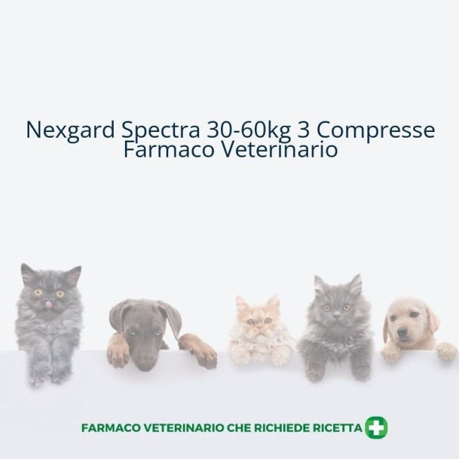 NEXGARD SPECTRA*30-60KG 3CPR