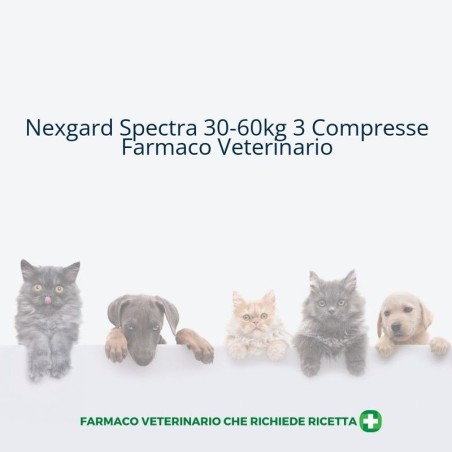 NEXGARD SPECTRA*30-60KG 3CPR