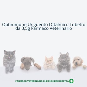 OPTIMMUNE*OFT UNG 3,5G 2MG/G