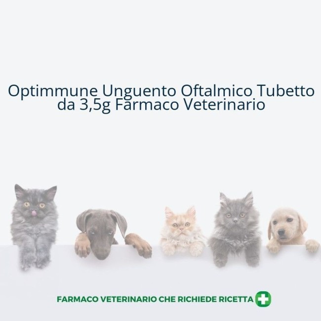 OPTIMMUNE*OFT UNG 3,5G 2MG/G