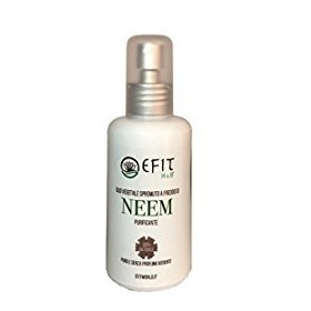 Neem Olio Vegetale 100 Ml