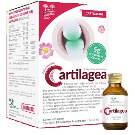 Cartilagea Salugea 18 Flaconcini Da 12 Ml Cartilagea Salugea 18 Flaconcini Da 12 Ml