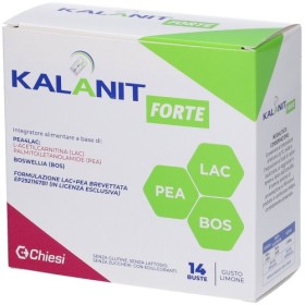 KALANIT FORTE 14BUST