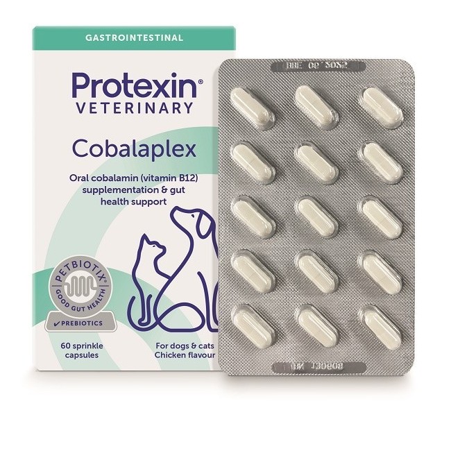 Cobalaplex 60 Capsule Cobalaplex 60 Capsule