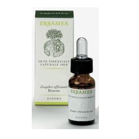 MENTA PIPERITA OE 10ML