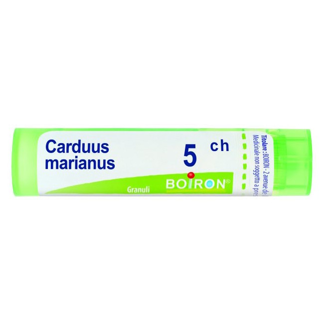 CARDUUS MARIANUS 5CH GR