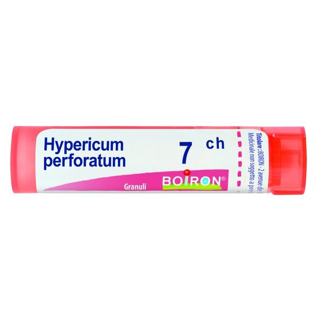 HYPERICUM PERF 7CH GR