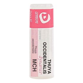 THUYA OCCIDENT MCH GL