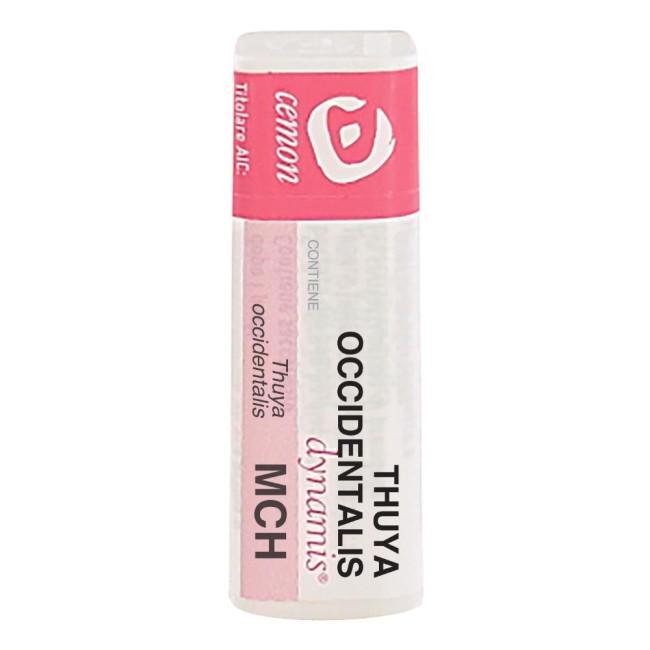 THUYA OCCIDENT MCH GL