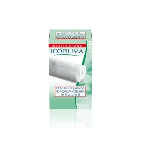 BENDA ICOPIUMA ORLATA 20 5X5CM
