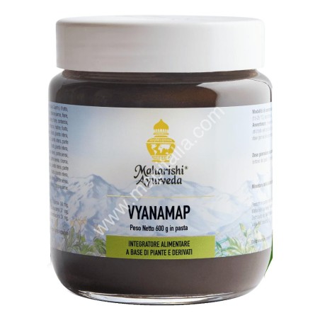 VYANAMAP PASTA 600G