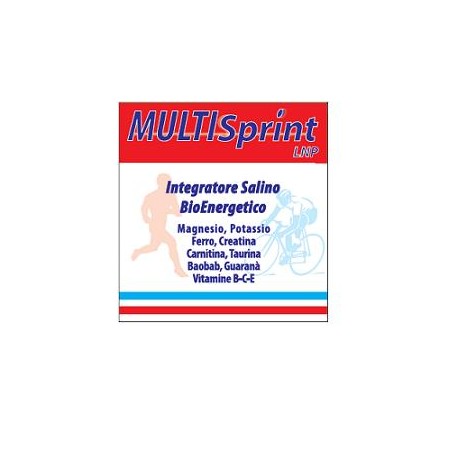 MULTISPRINT LNP 20BUST