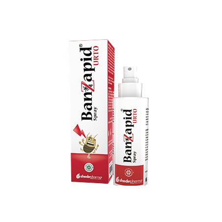 BANZAPID SPR TRATTAMENTO 100ML