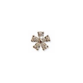 5ZIRC PETALS6MM SSTEEL BJT959S