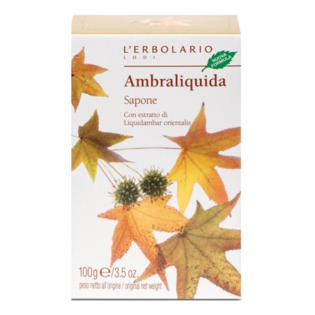 Ambraliquida Sapone 100 G