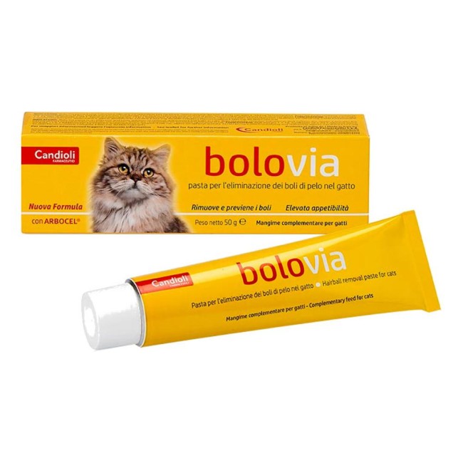 BOLO VIA PASTA GATTI 50G