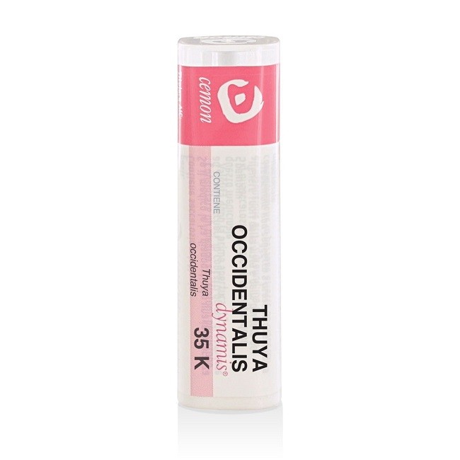 THUYA OCCIDENT 35K GR THUYA OCCIDENT 35K GR