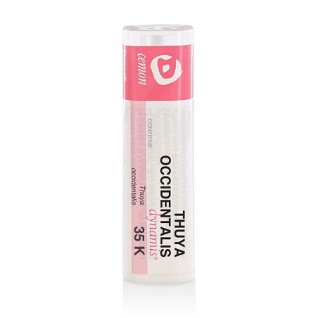 THUYA OCCIDENT 35K GR THUYA OCCIDENT 35K GR