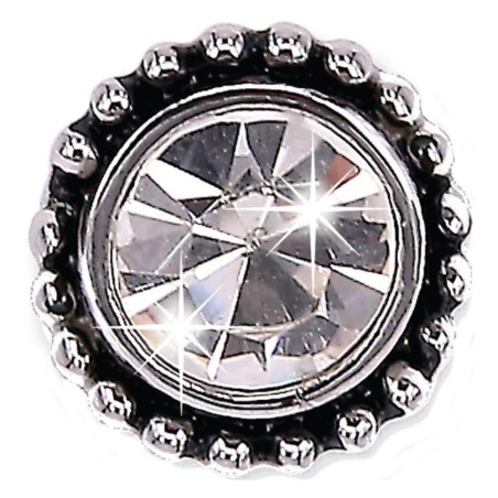 Bjt955 Orecchini King Zircon Stainless Steel