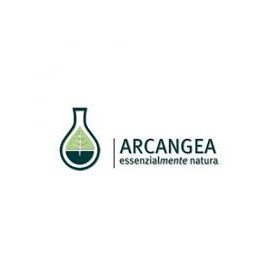 Arcangea