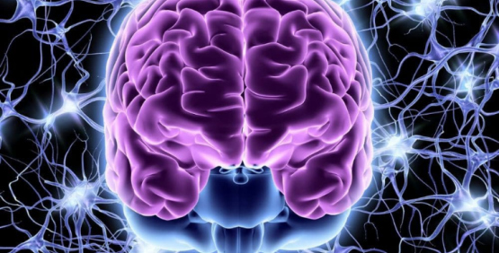 Integratori per il sistema nervoso: a cosa servono e quali sono i migliori