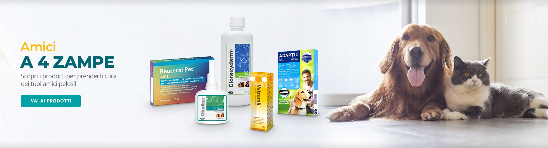 Amici a 4 zampe